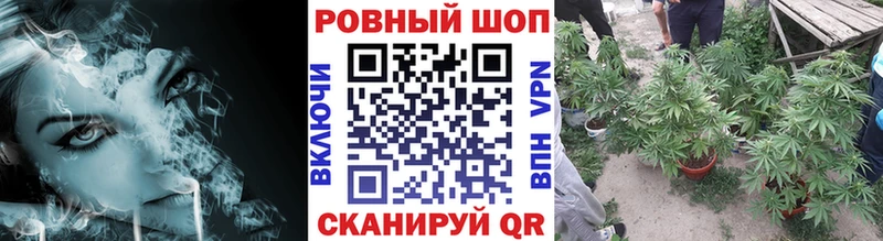 Конопля Унеча