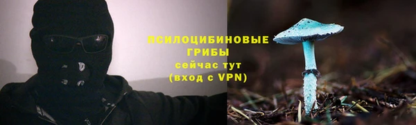 МДПВ Арсеньев