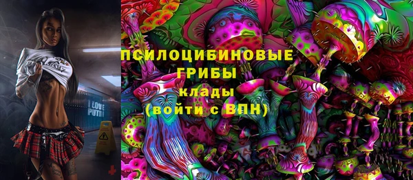 МДПВ Арсеньев