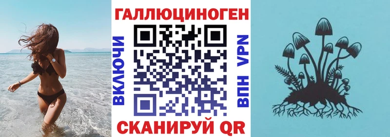 omg ссылки  Унеча  Галлюциногенные грибы Magic Shrooms 